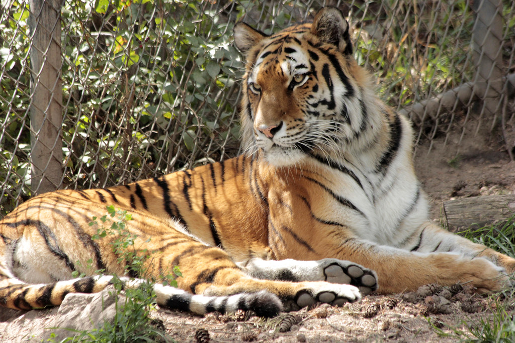 Holiday rentals Cheyenne Mountain