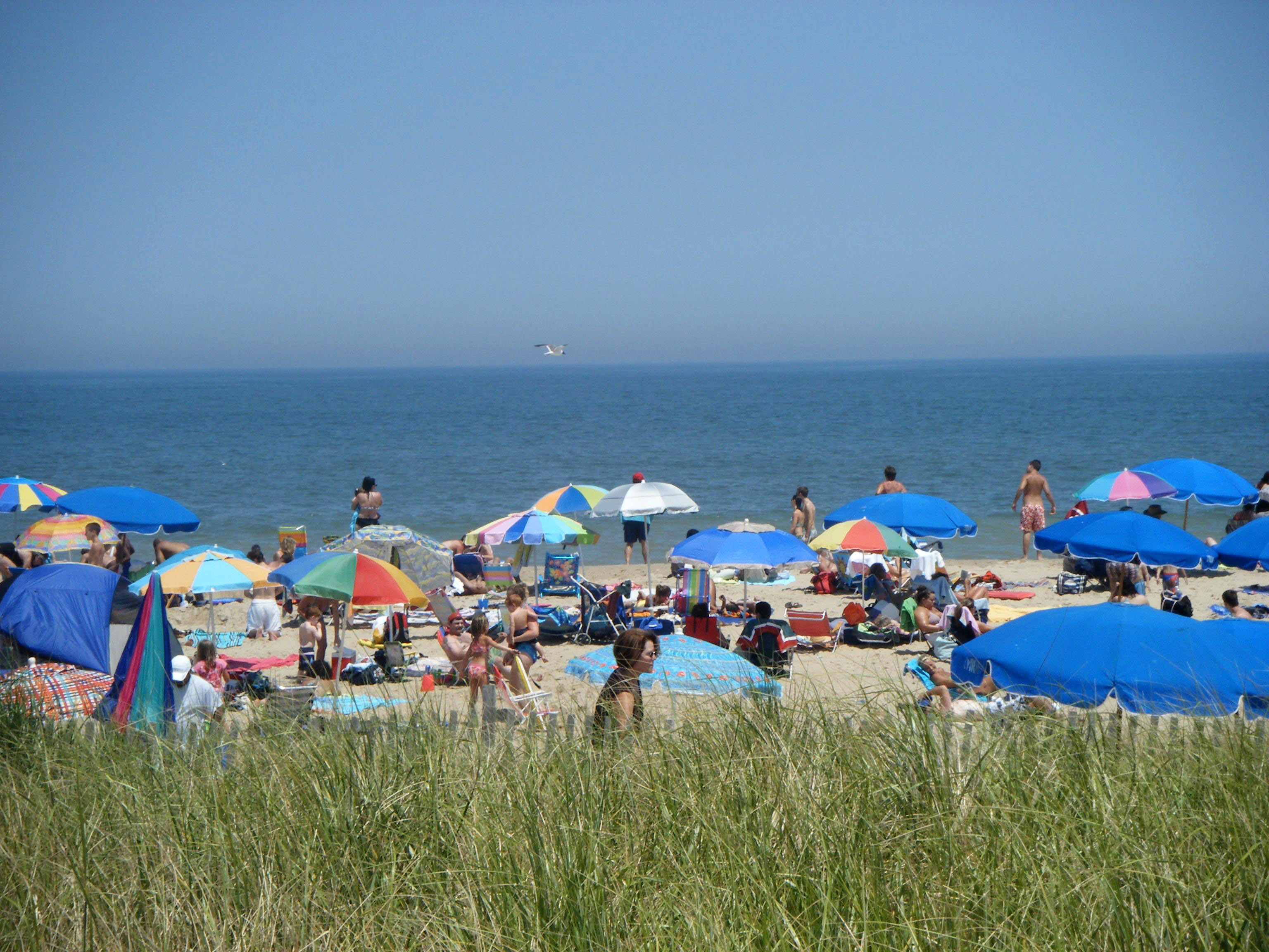 Holiday rentals Rehoboth Beach