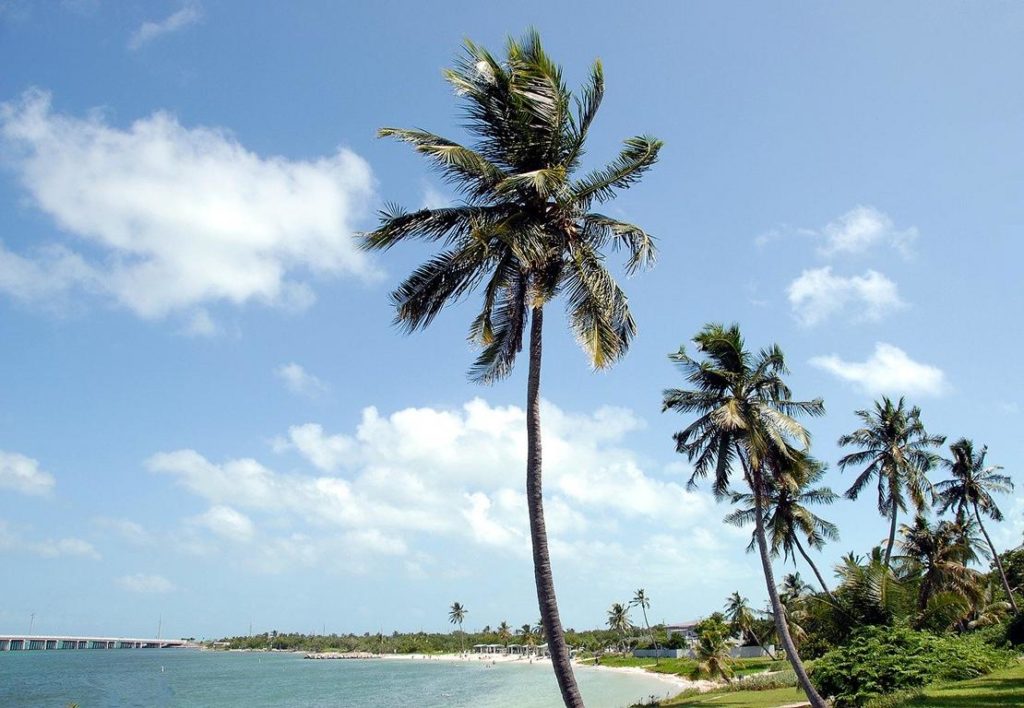 Case Vacanze Bahia Honda State Park
