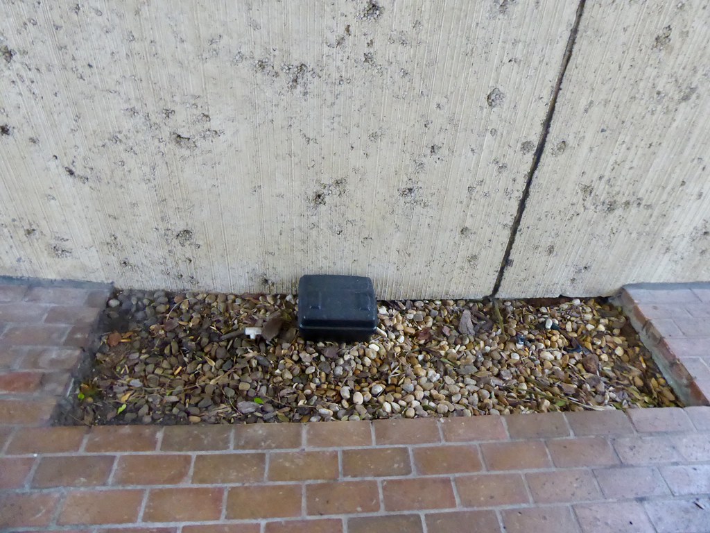 Holiday rentals Temple Terrace