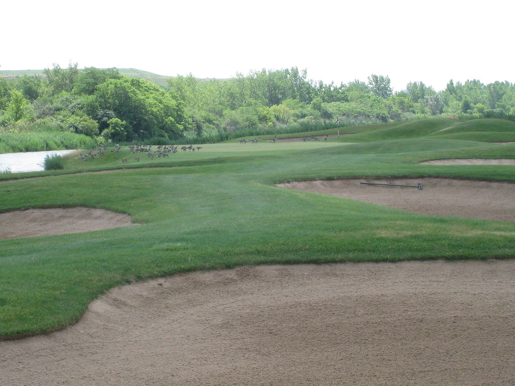 Case Vacanze Riverside Golf Course
