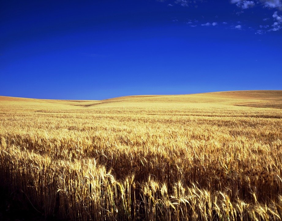 Holiday rentals Maize