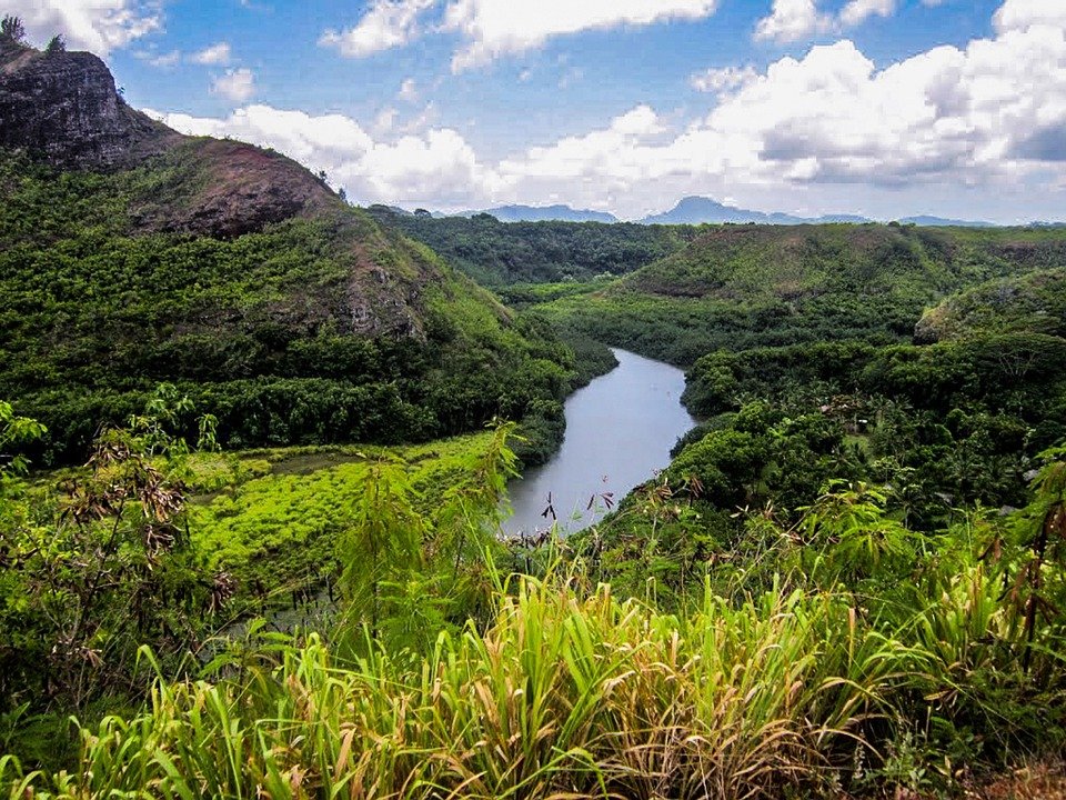 Holiday rentals Lihue