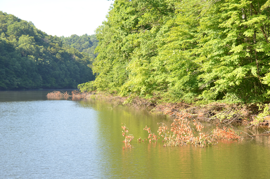 Hotels in Dale Hollow Lake