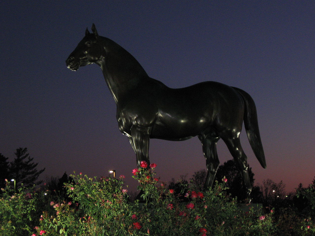 Hotels in Kentucky Horse Park