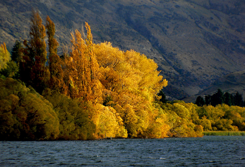 Holiday rentals Central Lake