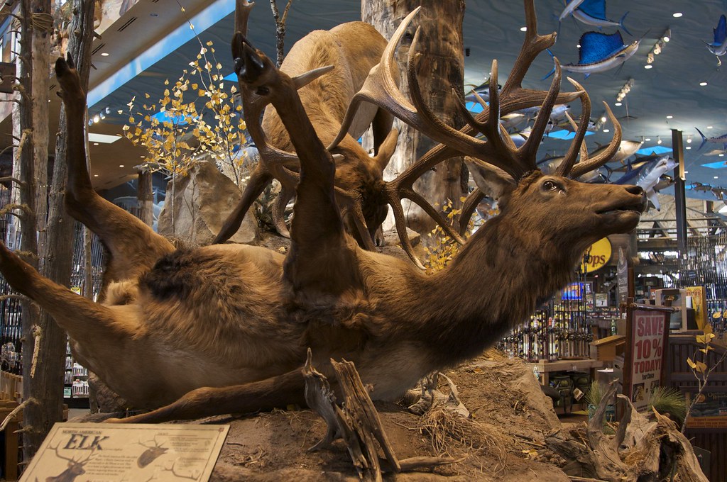 Hotel in Bass Pro Shops