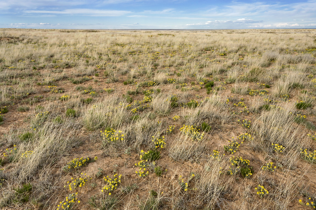 Holiday rentals Fort Sumner