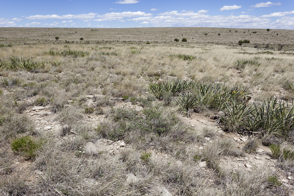 Hotels in Arroyo Seco