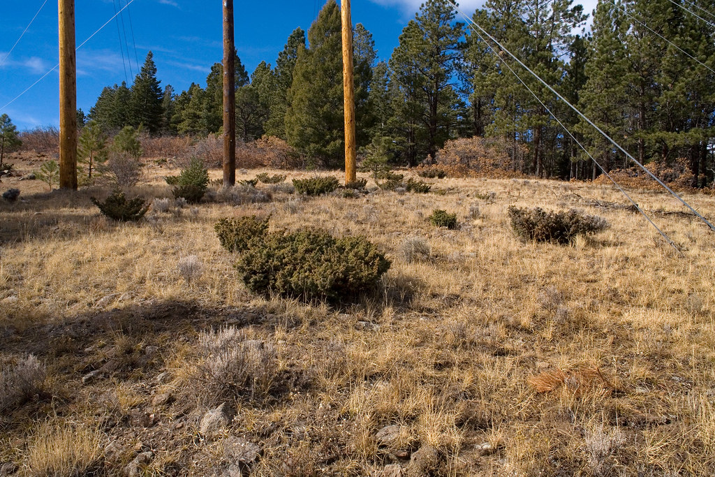 Hotels in Angel Fire