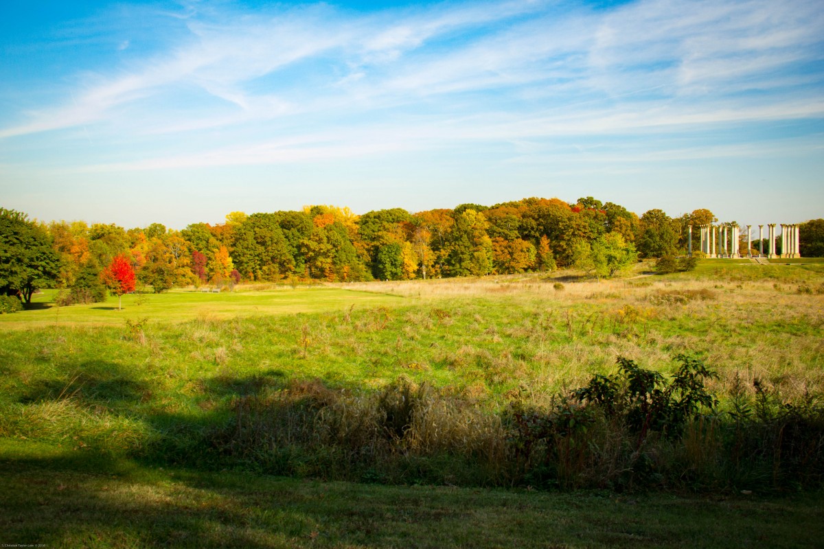 Holiday rentals Pine Brook