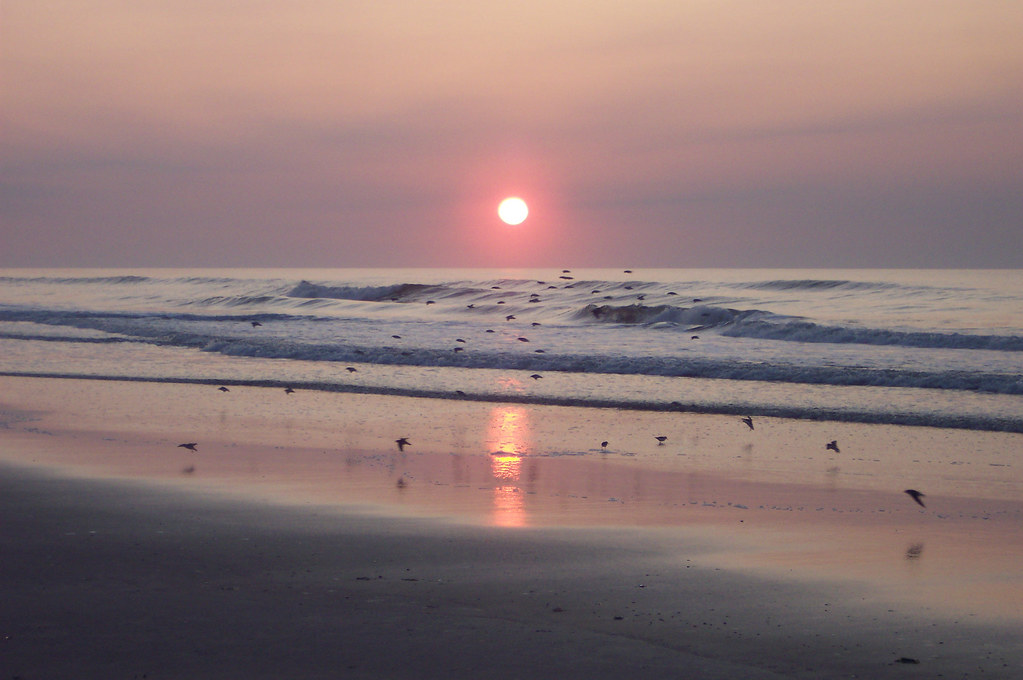 Case Vacanze Ocean City Beach