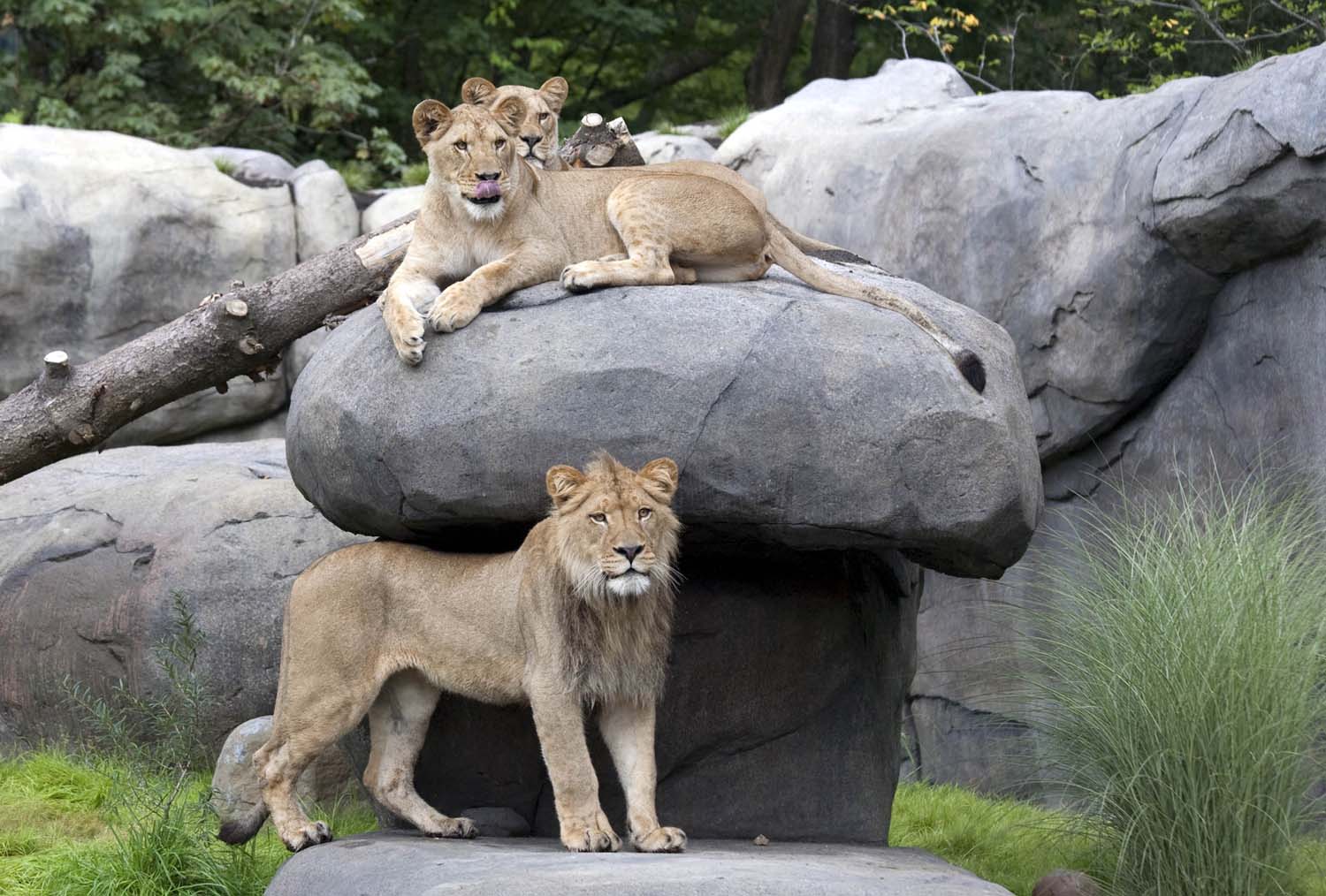 Holiday rentals Oregon Zoo
