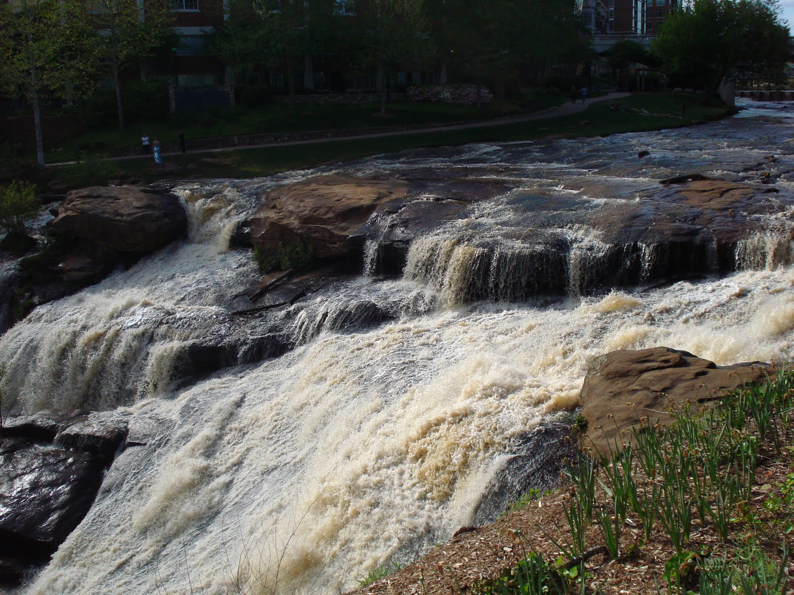 Hotel a Falls Park on the Reedy