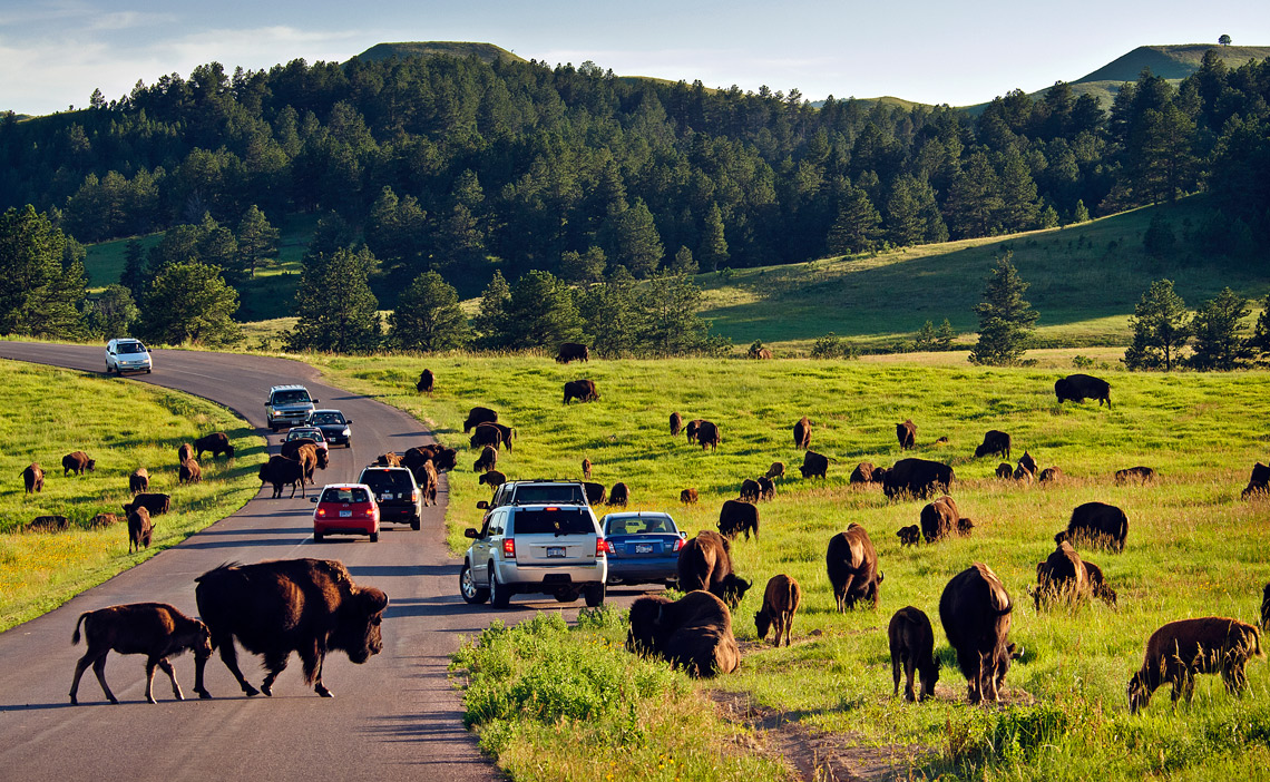 Holiday rentals Custer