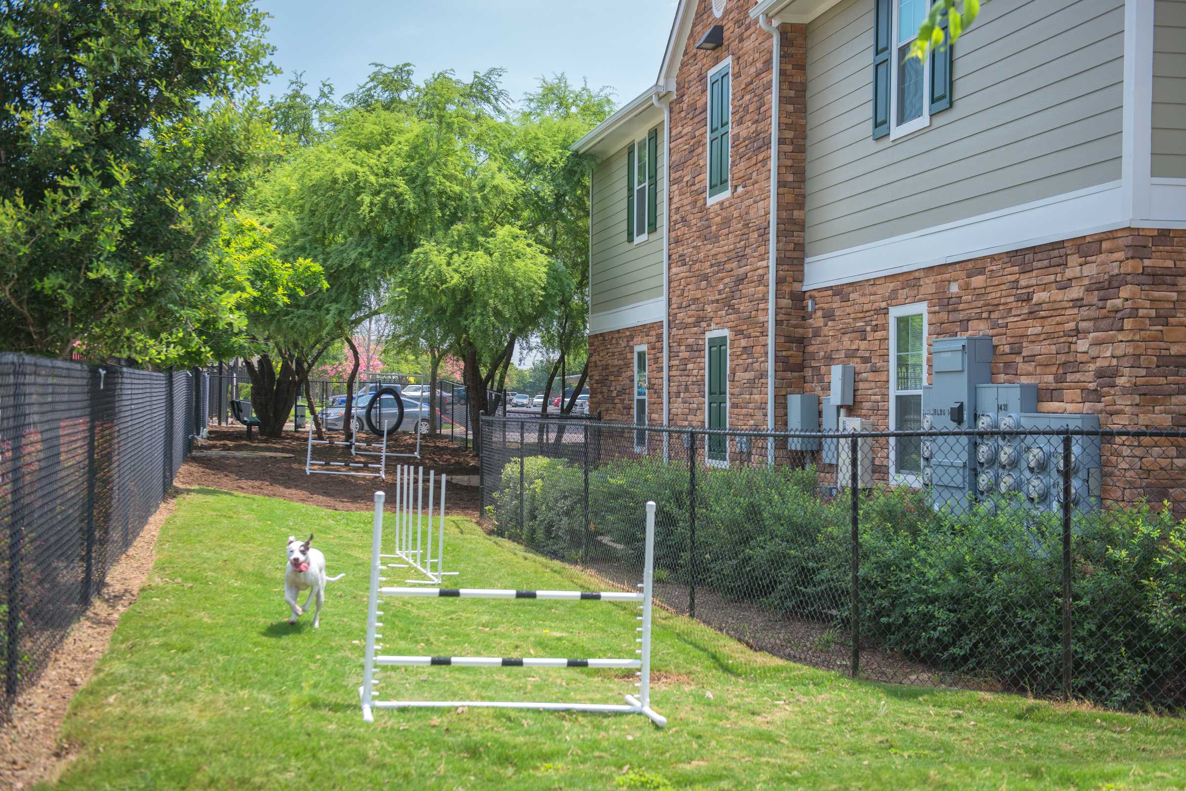 Holiday rentals Shavano Park