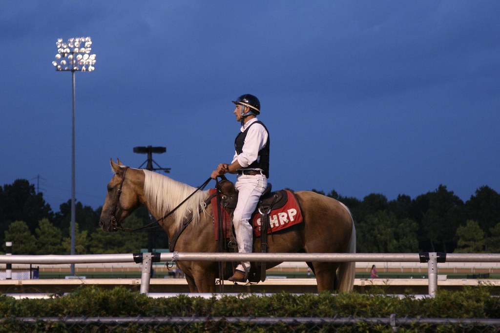 Holiday rentals Sam Houston Race Park