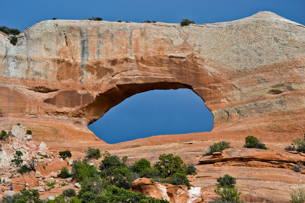 Holiday rentals Wilson Arch