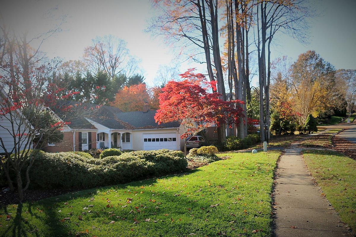 Holiday rentals Annandale