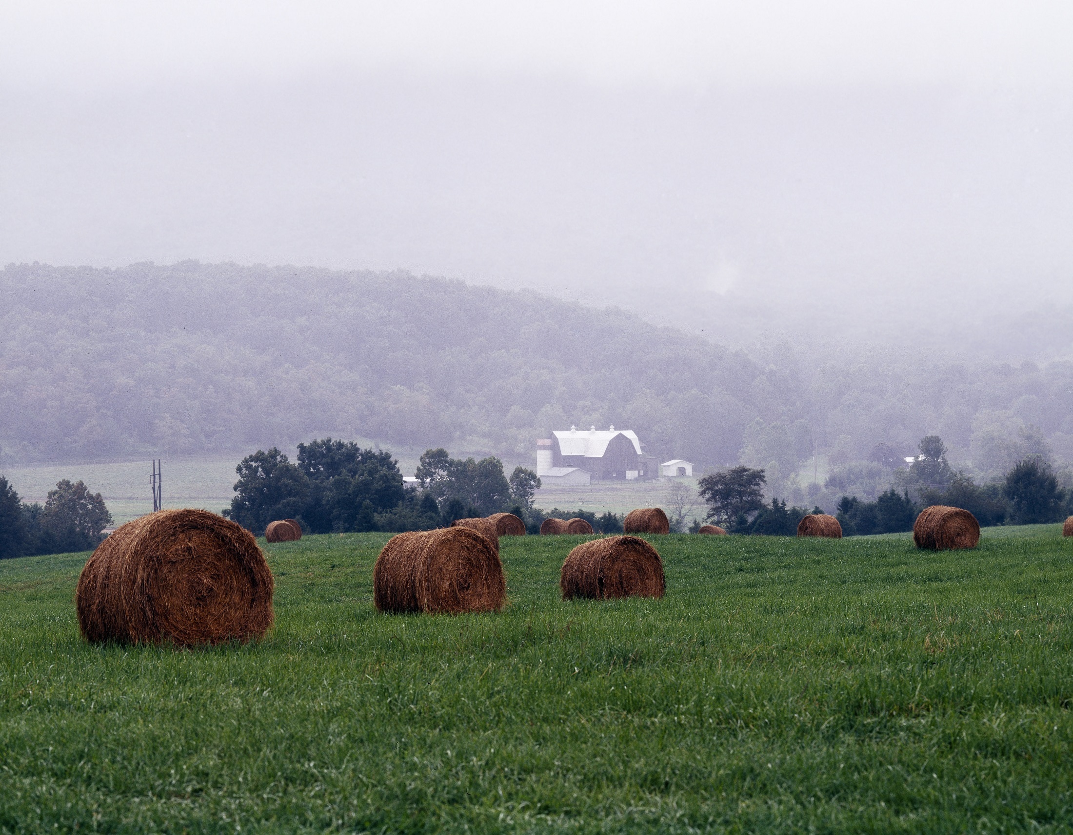 Holiday rentals Manassas