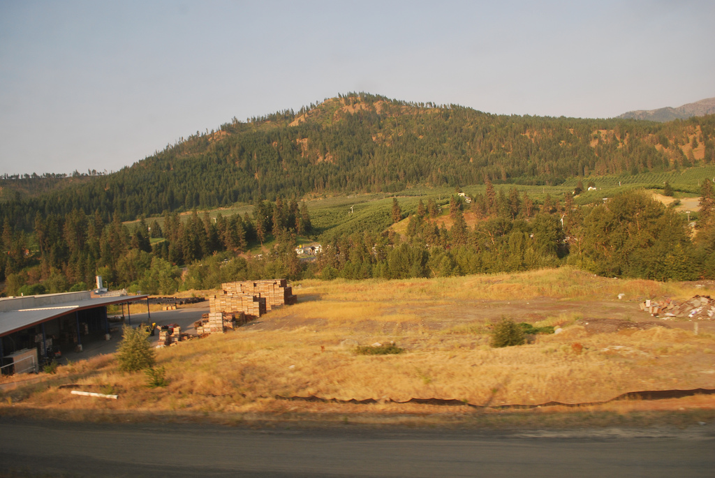 Holiday rentals Dryden
