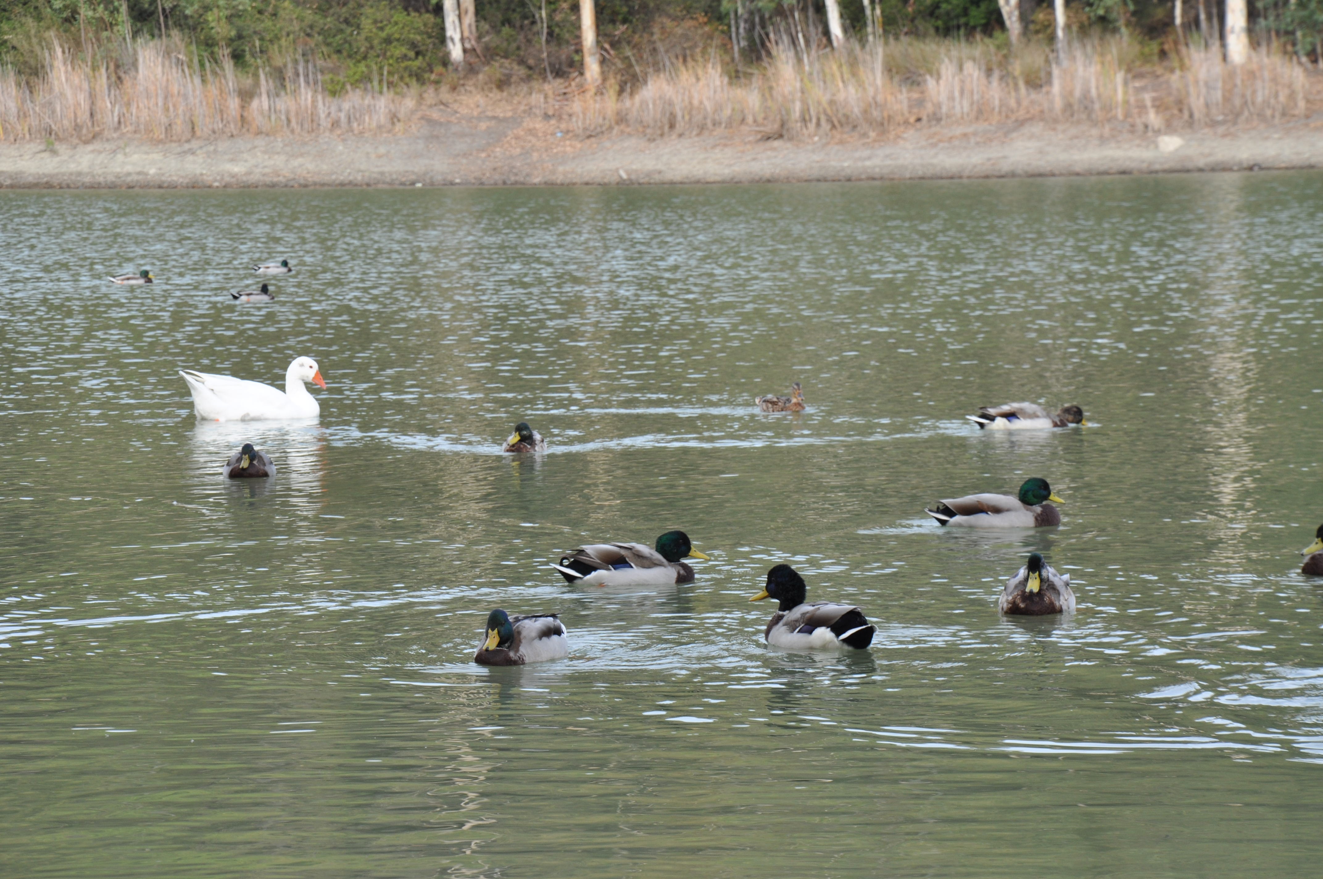Holiday rentals Skykomish