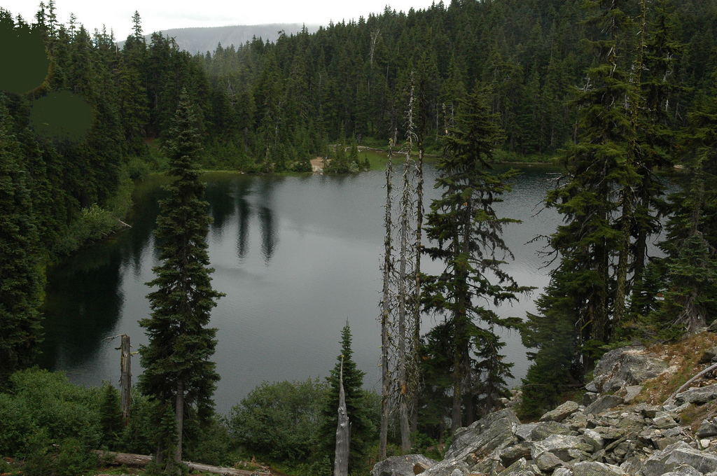 Holiday rentals Merritt