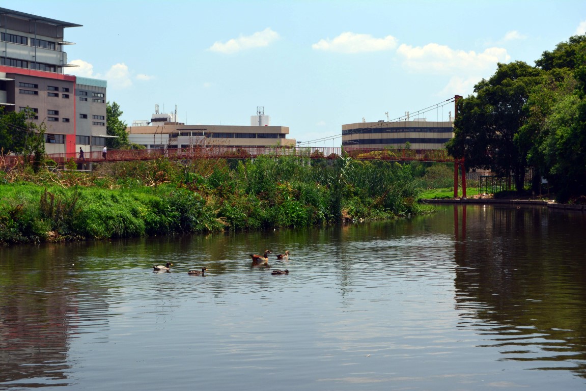 Hotels in Centurion Lake