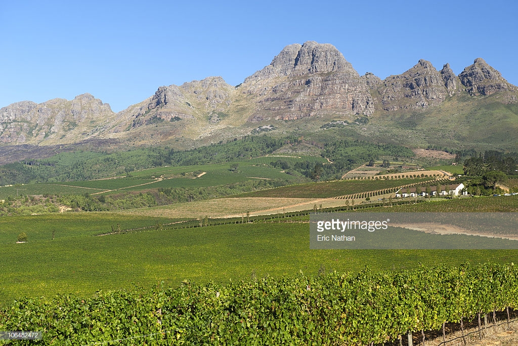 Hotels in Stellenbosch