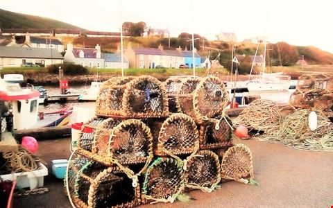 Song Of The Sea Selkie House Helmsdale B B Helmsdale Bluepillow Song Of The Sea Selkie House Helmsdale B B Helmsdale Bluepillow