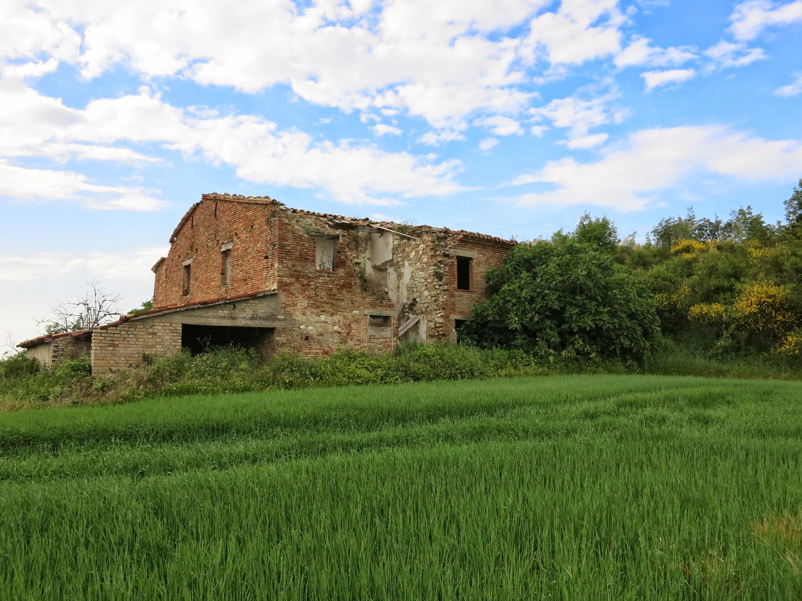 Case Vacanze Mombaroccio