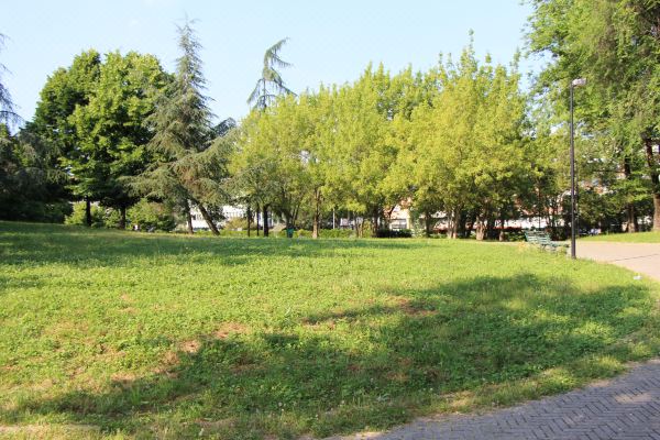 La Rosa del Golfo dei Poeti