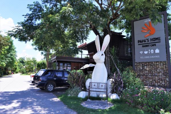 Papa's Home and Rabbit Cafe