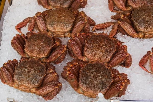 Minshuku Ryokan Nagashima