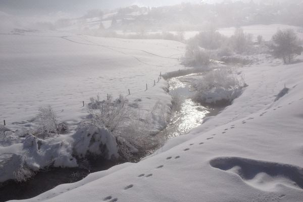 Ferme de la Grande Moucherolle
