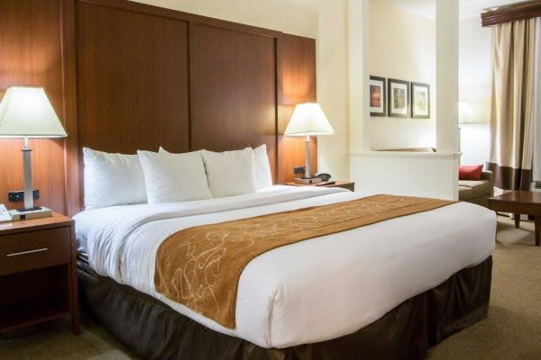 Comfort Suites Cumming-Atlanta Near Northside Hospital Forsyth