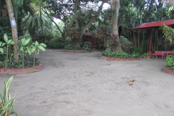 Newly Renovated!!! Felipa Beach - Bird of Paradise