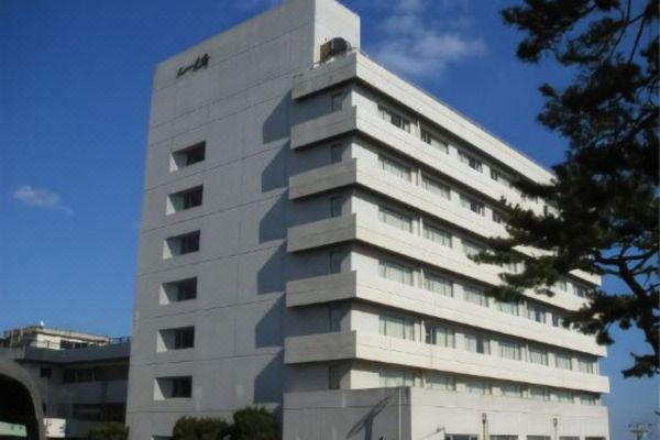 Hotel New Daishin