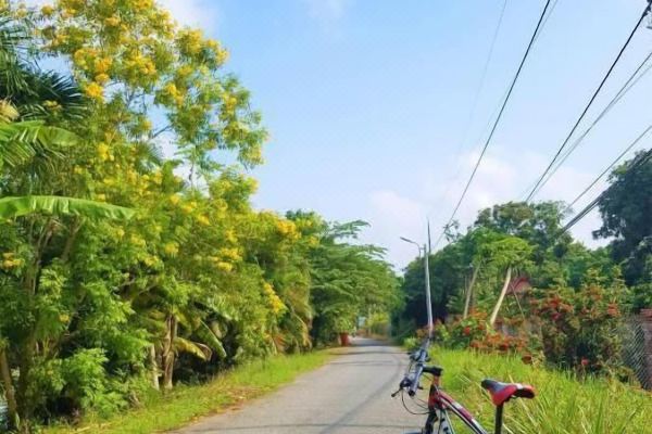 Riverside Park Eco Resort