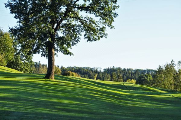 Golf- Und Landhotel Anetseder