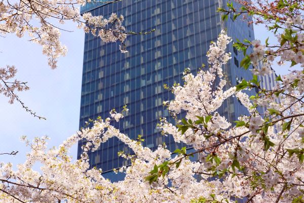 Sofitel Ambassador Seoul Hotel & Serviced Residences