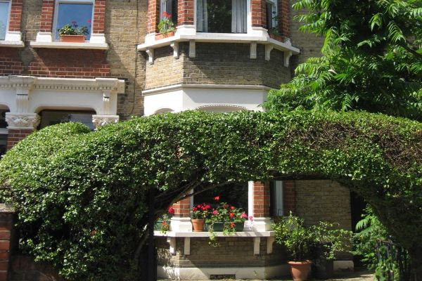 Grove Guest House