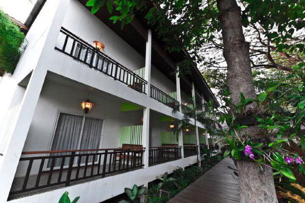 Tree House Hotel