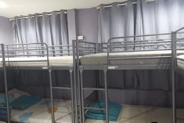 That Summer Hostel