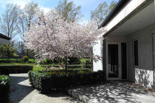 Seatonwood Villas