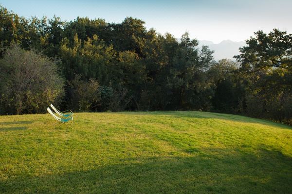La Vecchia Quercia