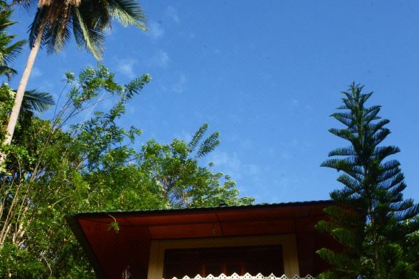 Tangkoko Sanctuary Villa & Spa