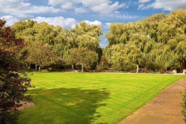 Cherbridge Lodges - Riverside Lodges, Short Lets (Business or Holidays)