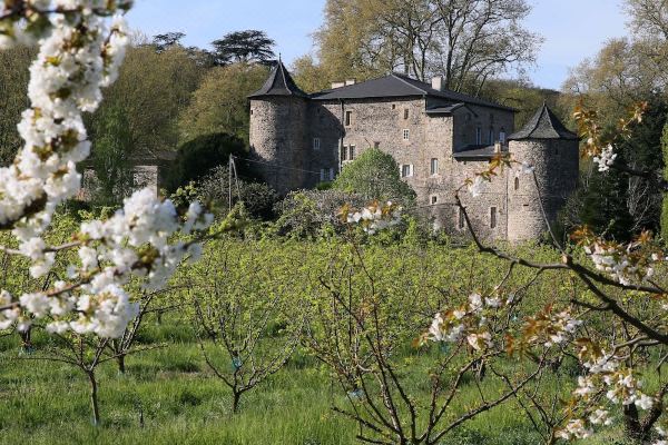 Domaine La Bonne Etoile