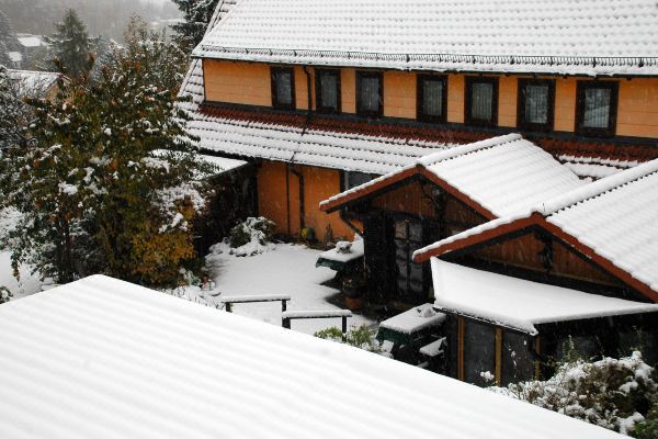 Pension Waldhaus Anita